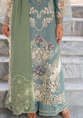 Winter Collection - MM Manara - Vintage Karandi Fall 24 - D#7 - NISA