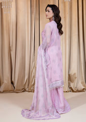 Formals - Raum By Sarb - Maah-e-Noor - Wedding Festive 25 - MWF#03