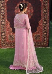 Formals - Roheenaz - Aangan - Chiffon 25 - D#105 - Naaz