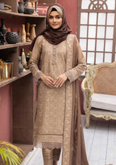 Winter Collection - Riaz Arts - DastKari - D#07