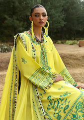 Lawn - Zaha - Unstitched Lawn 25 - ELAYA (ZL25-10 B)