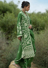 Winter - Gul Ahmed - Pashmina - AP#62010
