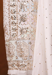 Formals - Bahawalpur Pehnawa - Georgette Chiffon - 2 Piece - D#19