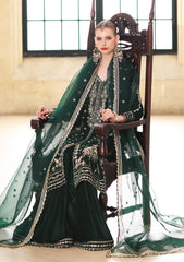 Formals - Noor By Saadia Asad - Handcrafted Velvet 25 - NHCV#01