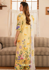 Lawn - Asifa & Nabeel - Meraki Vintage 25 - Sehar (MVL25-03)