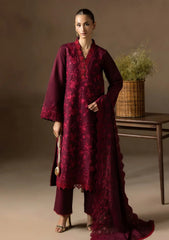 Winter - Raj Bari - Sareen 25 - Premium Viscose - D#04