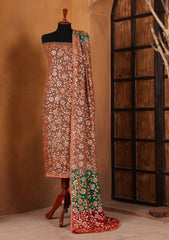 Formals - Bahawalpur Pehnawa - Chiffon - 2 Piece - D#16
