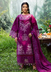 Winter - Parishay - Winterwood Tales - Khaddar - WW25#06