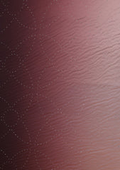 Shamoz Silk With Stone Work - ASPL#92