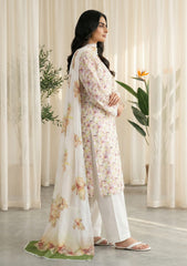 Lawn - Rubaaiyat - R Prints 26 - Volume 3 - D#39 - G White