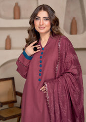 Winter - Bin Rashid - Aaina - Zari Wool 25 - BZW#04