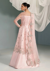 Formals - Alizeh - Handmade Net - Festive 25 - AF-NHM#4061 - Garnet