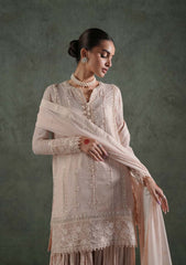 Formal Collection - Zarqash - Lakhnawi - Festive Chiffon - ZQ24#8A - HAIYA