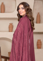 Winter - Bin Rashid - Aaina - Zari Wool 25 - BZW#04
