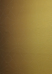 Shamoz Silk With Stone Work - ASPL#93
