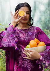 Winter - Parishay - Winterwood Tales - Khaddar - WW25#06