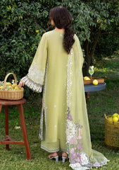 Lawn - Elaf Premium - Luxury 26 - ELY#08 - PISTACHIA