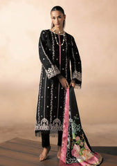 Winter - Raj Bari - Sareen 25 - Premium Viscose - D#05