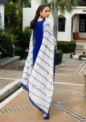 Lawn - Zainab Chottani - Chikankari 25 - Sia - 11B