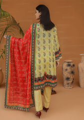 Lawn Collection - Jasper - Almish Lawn - JL24#553