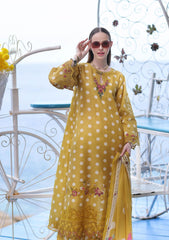 Lawn Collection - Noor - Saadia Asad - Luxe Printkari - NSL24#6-B