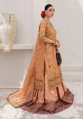 Formals - Aik Atelier - Wedding Festive 25 - Vol-II - Look#02