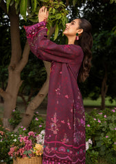 Winter - Ayleen - Kissa Unstitched 26 - Gulaal