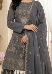 Winter - Meemsey - Noor Jahan - Rangoli Dhanak 25 - D#226 - B Grey