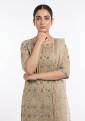 Formals - Riwaj - Fancy Net - 2 Pcs Suit - CND#2783 - Light Mehndi