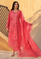 Lawn Collection - Rang Rasiya - Premium - RSP24#05 - Natalia