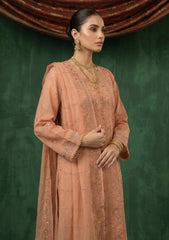 Formals - Riwaj - Fancy Net - 2 Pcs Suit - CND#1100 - Rust