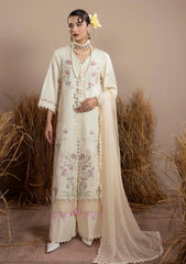 Winter - Humdum - Mushak - Embroidered Karandi 26 - D#02