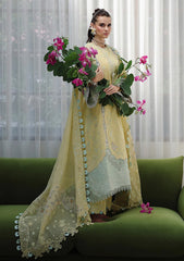 Lawn - Qalamkar - Chikankari - Eid Edit 26 - CM#02 - AYLA