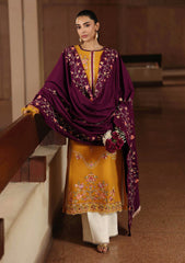 Winter - Rajbari - Winter Shawl - Exclusive 25 - D#03