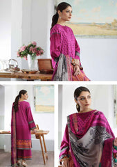 Winter Collection - Charizma - Beyond Casuals - C Prints - VoL 2 - CPW3#18