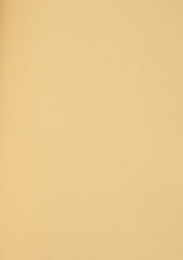 Scabal Super 100's Brussels Suiting Wool Fabric - Yellow