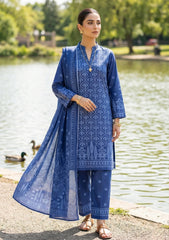 Lawn - Rubaaiyat - R Prints 26 - Volume 2 - RP2#10 - Blue