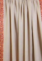 Pashmina Kashmiri Border Shawl D#170 - Skin