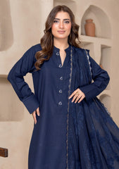 Winter - Bin Rashid - Aaina - Zari Wool 25 - BZW#06