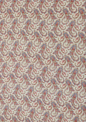 Printed Shamoz Silk - ASPL#70