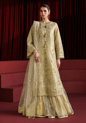 Formals - Alizeh - Handmade Net - Festive 25 - AF-NHM#4057 - Coco