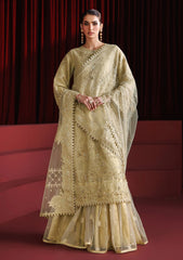 Formals - Alizeh - Handmade Net - Festive 25 - AF-NHM#4057 - Coco