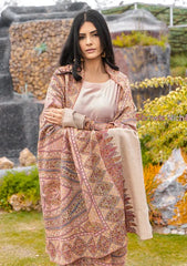 Pure Pashmina Handmade Shawl D - 0038