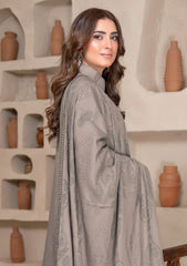 Winter - Bin Rashid - Aaina - Zari Wool 25 - BZW#07