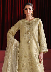 Formals - Alizeh - Handmade Net - Festive 25 - AF-NHM#4057 - Coco