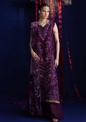 Winter - Parishay - Velvet Palachi Shawl 26 - CHE#10