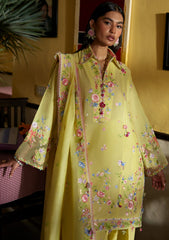 Lawn - Zaha - Festive 26 - ZF#08 - QUEEN OF THE ANDES