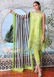 Lawn Collection - Noor - Saadia Asad - Luxe Printkari - NSL24#8-B
