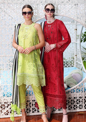 Lawn Collection - Noor - Saadia Asad - Luxe Printkari - NSL24#8-B