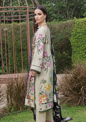 Winter - Al Zohaib - Colors Linen - Edit 25 - CL#04